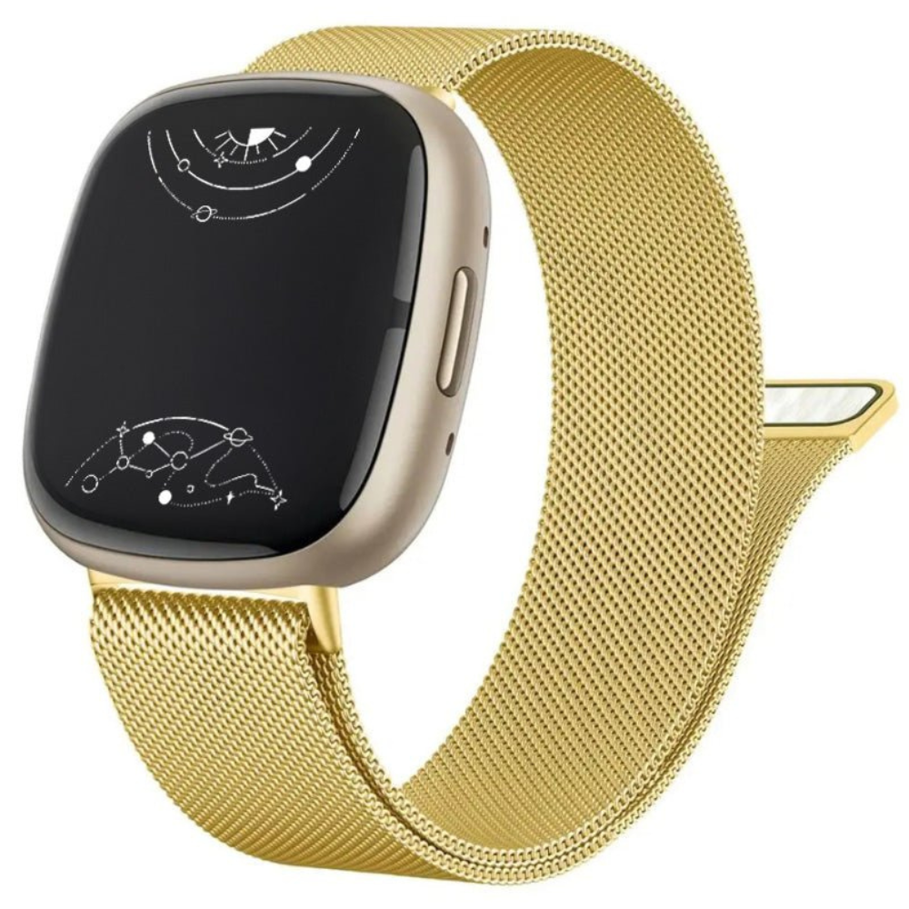 Monstro Bande en Acier Milanese pour Fitbit Série
