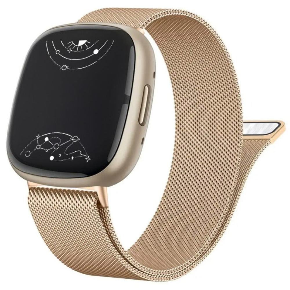 Monstro Bande en Acier Milanese pour Fitbit Série