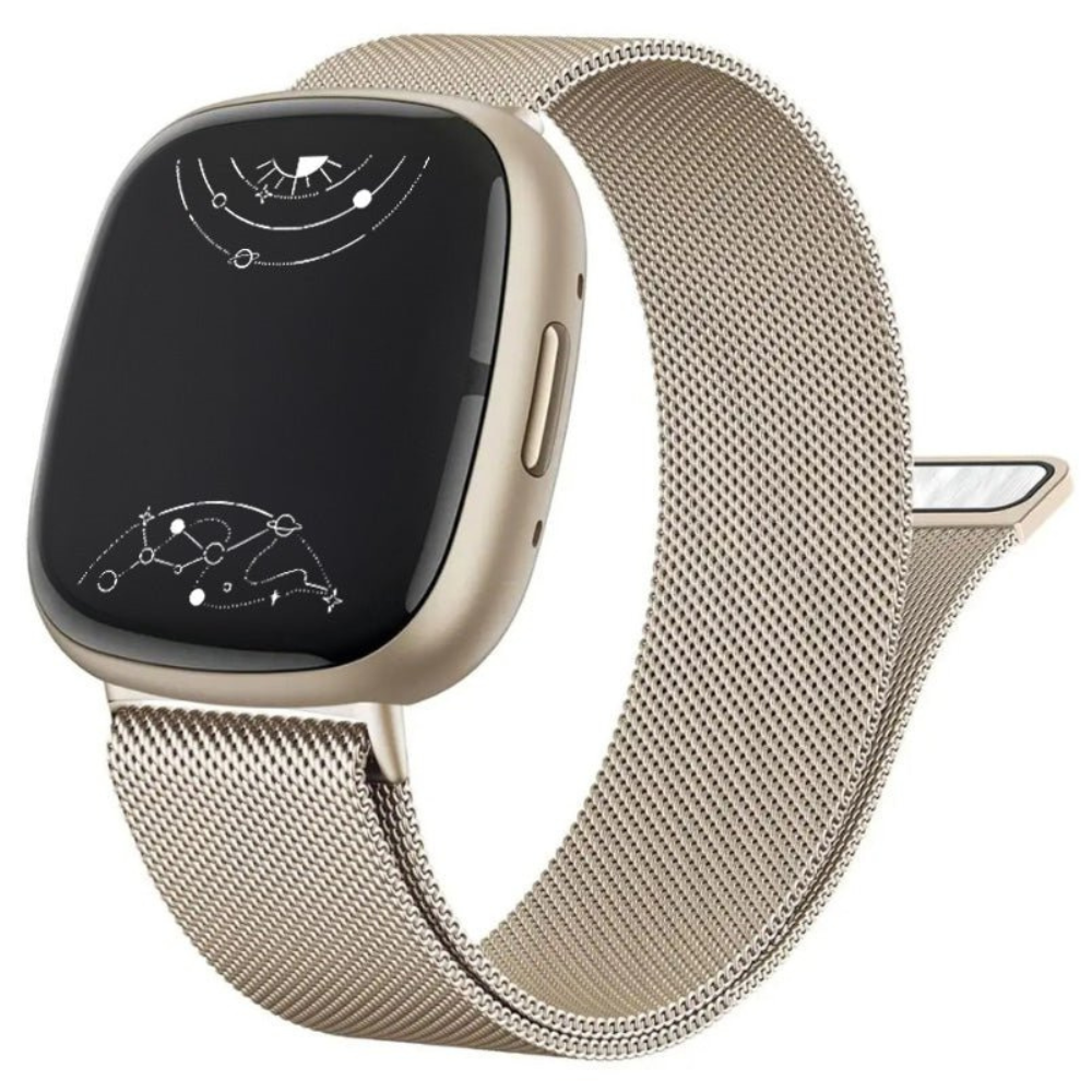 Monstro Bande en Acier Milanese pour Fitbit Série